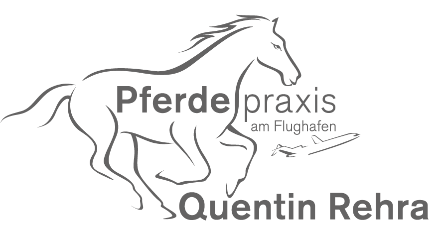Pferdepraxis am Flughafen Quentin Rehra